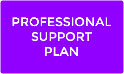 Professional Support Plan